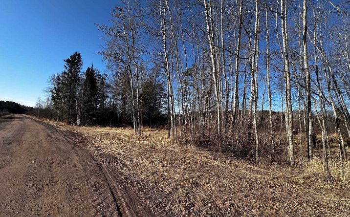 Pictures of Land property located at 8601 County Rd L, Lake Nebagamon, WI 54849 for sales - image #1