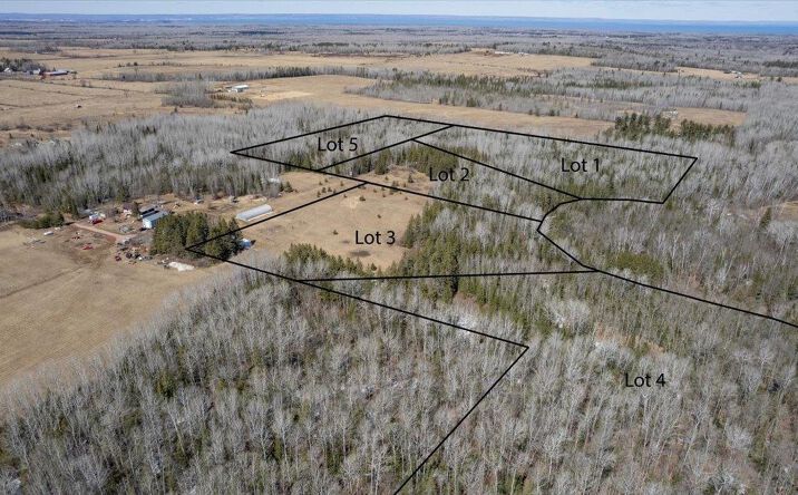 Pictures of Land property located at 9377 E Wood Rd, Poplar, WI 54864 for sales - image #1