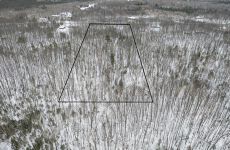 29168006