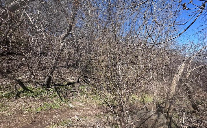 Pictures of Land property located at 1010 W 2nd St, Duluth, MN 55805 for sales - image #1