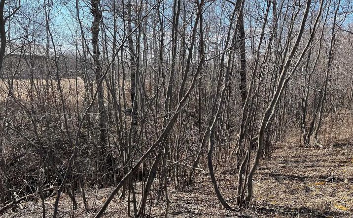 Pictures of Land property located at 1209 39th Ave E, Superior, WI 54880 for sales - image #1