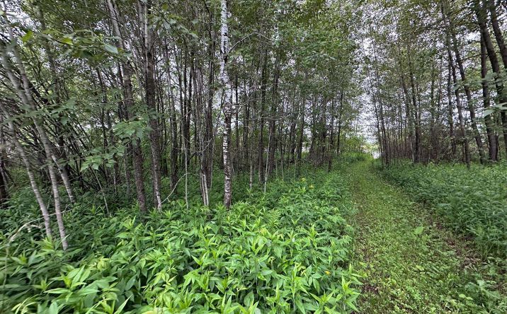 Pictures of Land property located at 3938 E 5th St, Superior, WI 54880 for sales - image #1