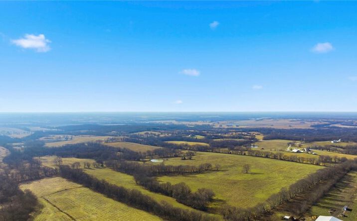 Pictures of Land property located at 80 AC S Wagonor Road, Garden City, MO 64747 for sales - image #1