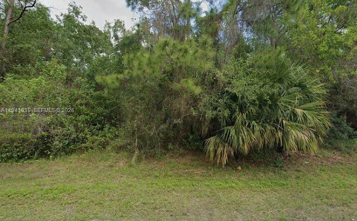 Pictures of Land property located at 15627 71st Pl, Loxahatchee, FL 33470 for sales - image #1