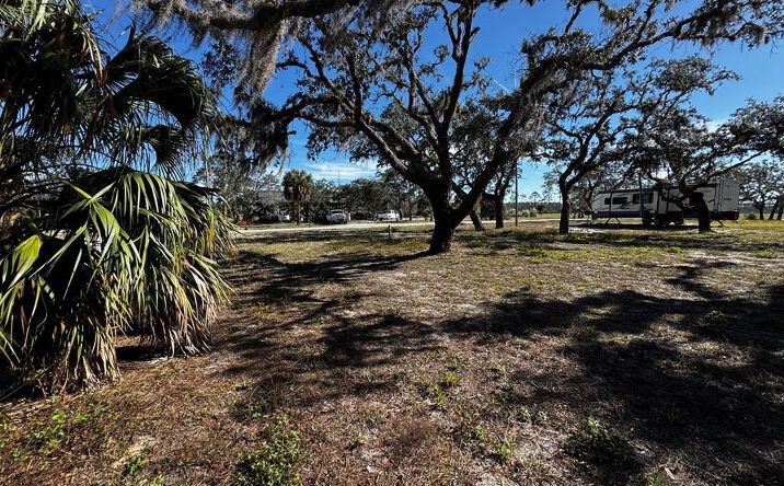 Pictures of Land property located at 306 SW 911th St, Jena, FL 32359 for sales - image #1