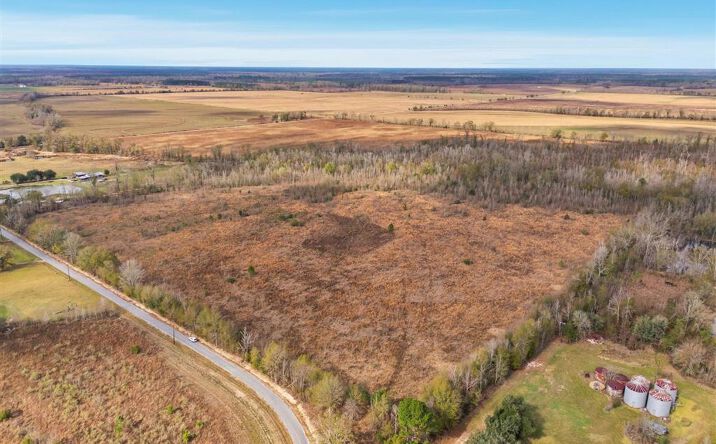 Pictures of Land property located at TBD Walker Road, Reeves, LA 70658 for sales - image #1