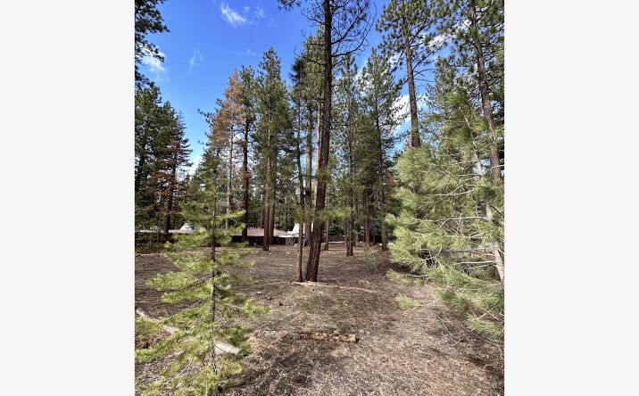 Pictures of Land property located at 1331 Emerald Bay Rd, South Lake Tahoe, CA 96150 for sales - image #1
