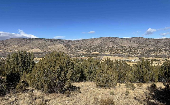 Pictures of Land property located at 140 Manfor Road, Hondo, NM 88348 for sales - image #1