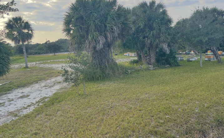 Pictures of Mixed Use, Retail, Self Storage property located at 6440 US-1, Melbourne, FL 32940 for sales - image #1