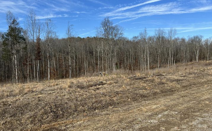 Pictures of Land property located at Robinson Levee Road, McKenzie, TN 38201 for sales - image #1