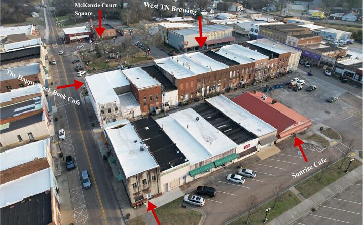 Pictures of Office, Retail property located at 2381 Cedar Street, Mckenzie, TN 38201 for sales - image #1