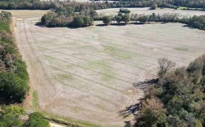 Pictures of Land property located at 28.5 Acres - Hwy 253, Hamilton, AL 35570 for sales - image #1
