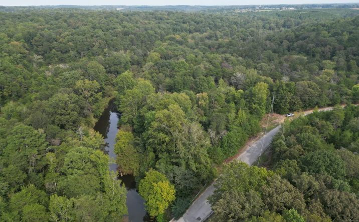 Pictures of Land property located at 8 Acres - County Road 69, Haleyville, AL 35565 for sales - image #1