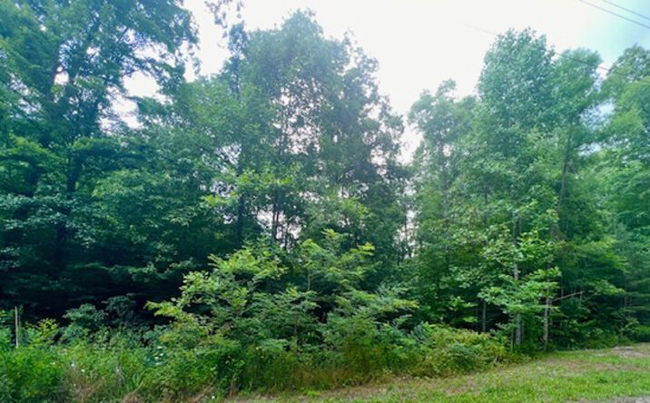 Pictures of Land property located at 3482 Chapel Hill Rd, Crawford, TN 38554 for sales - image #1