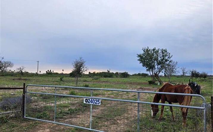 Pictures of Land property located at NE FM 1015 Highway, Monte Alto, TX 78538 for sales - image #1