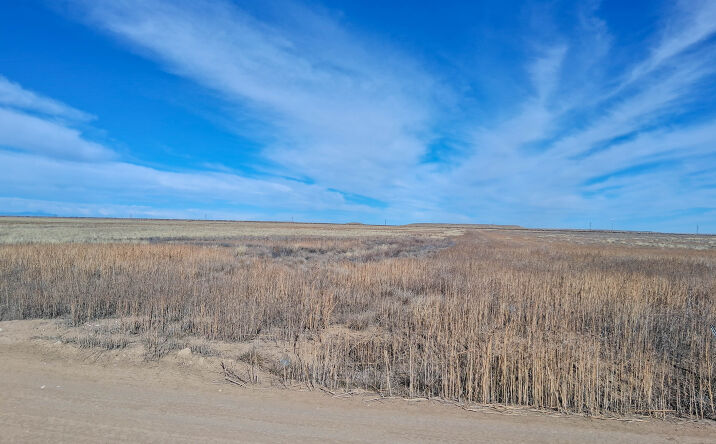 Pictures of Land property located at N/a Vacant Land, Avondale, CO 81022 for sales - image #1