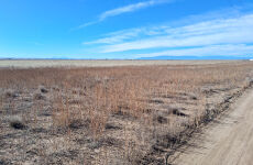 29646170