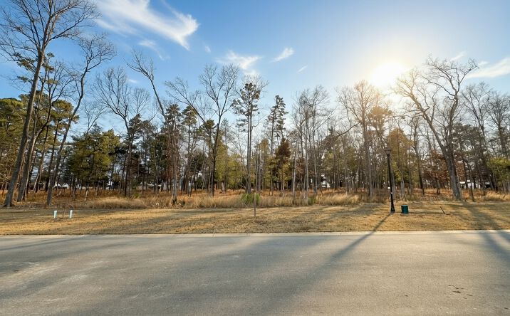 Pictures of Land property located at 546 Misty Banks Dr, Chapin, SC 29036 for sales - image #1