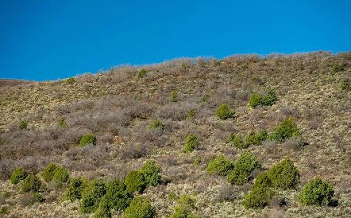 Pictures of Land property located at TBD Co 13, Lot#WP001 Rifle, Rifle, CO 81650 for sales - image #1