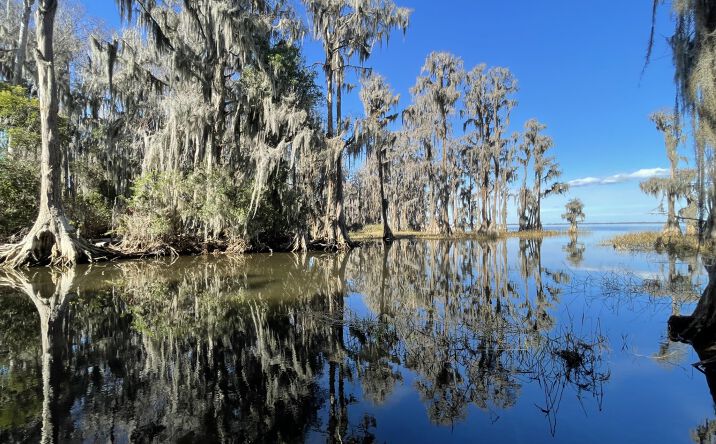 Pictures of Land property located at 24510 FL-26, Melrose, FL 32666 for sales - image #1