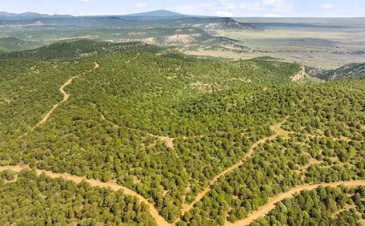 Pictures of Land property located at TBD Tollerburg Road, Trinidad, CO 81082 for sales - image #1