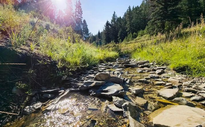 Pictures of Land property located at 1273 Co Rd 5, Rifle, CO 81650 for sales - image #1