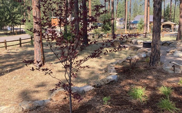 Pictures of Land property located at 219 Shyrock Loop Drive, Superior, MT 59872 for sales - image #1