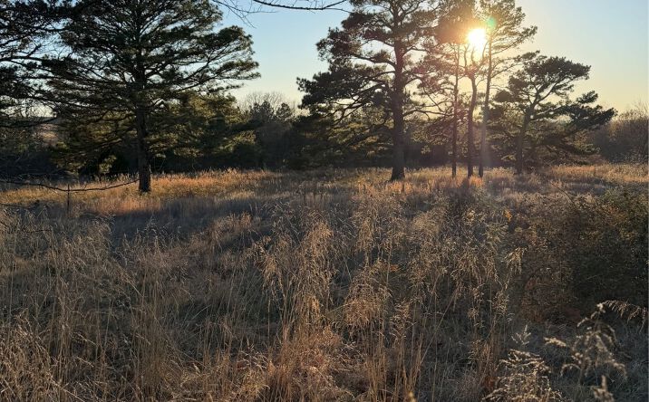 Pictures of Land property located at Highway 48, Allen, OK 74825 for sales - image #1