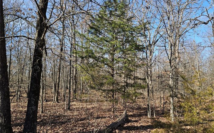 Pictures of Land property located at 54601 E 233 Road, Afton, OK 74331 for sales - image #1