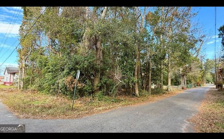 Pictures of Land property located at 0 N 3rd Ln, Jesup, GA 31545 for sales - image #1