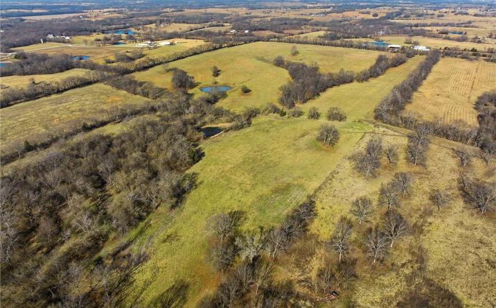 Pictures of Land property located at 37AC S Wagonor Road, Garden City, MO 64747 for sales - image #1