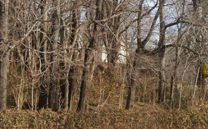 Pictures of Land, Multifamily property located at 3206 E 12th Street, Kansas City, MO 64127 for sales - image #1