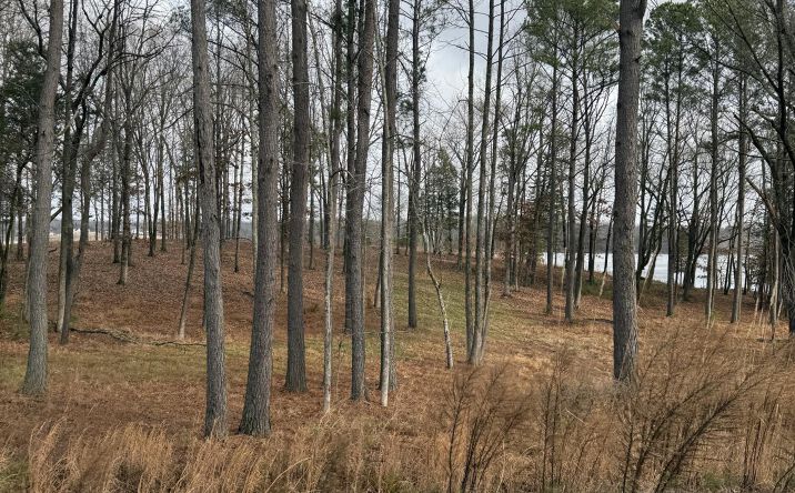 Pictures of Land property located at Lot 16 Stately Oak Dr, Huntingdon, TN 38344 for sales - image #1
