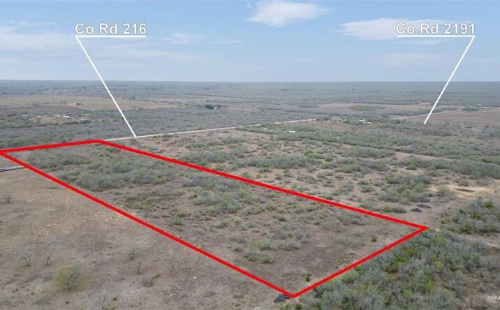Pictures of Land property located at 165 CR 216, Falfurrias, TX 78355 for sales - image #1