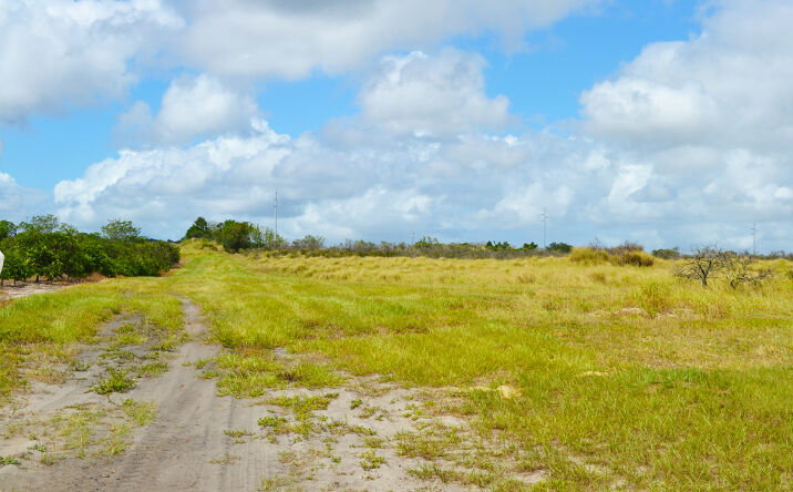 Pictures of Land property located at N Lake Patrick Rd, Babson Park, FL 32827 for sales - image #1