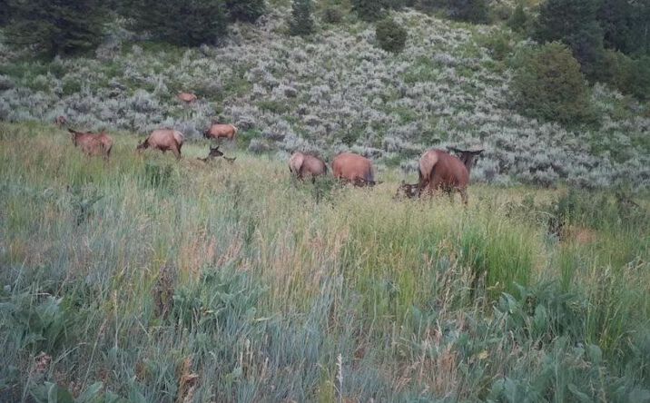Pictures of Land property located at TBD County 13, Rifle, CO 81650 for sales - image #1