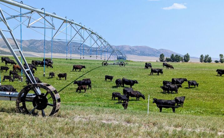 Pictures of Land property located at 21506 S Race Track Rd, Downey, ID 83234 for sales - image #1