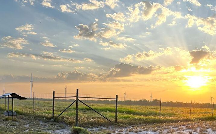 Pictures of Land, Multifamily property located at 1378 Acres Fm 490, Rincon, TX 78582 for sales - image #1