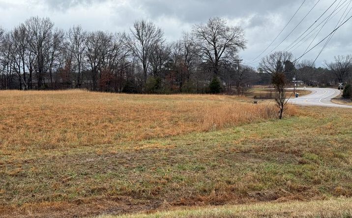 Pictures of Land, Multifamily property located at Hwy. 77/Browning Drive, Paris, TN 38242 for sales - image #1