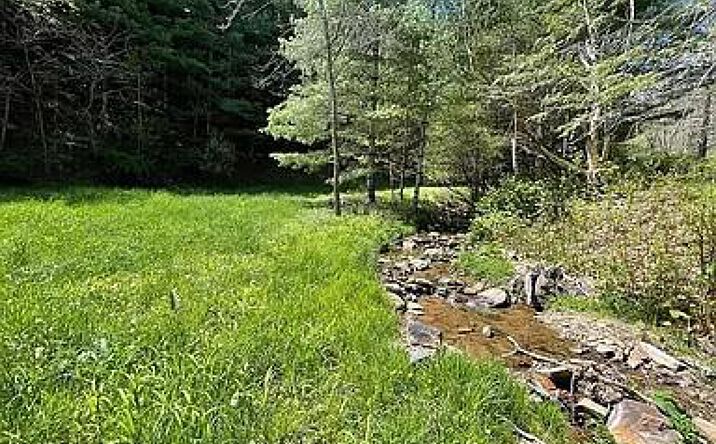 Pictures of Land property located at 413 Low Gap Rd, Mouth of Wilson, VA 24363 for sales - image #1
