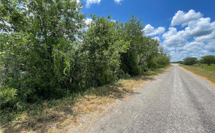 Pictures of Land property located at 114 Co Rd 230, Orange Grove, TX 78372 for sales - image #1