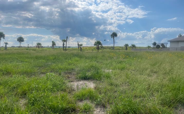 Pictures of Land property located at 14973 Canadian Mist Dr, Corpus Christi, TX 78418 for sales - image #1