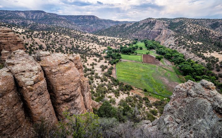 Pictures of Land property located at E Fork Rd, Gila Hot Springs, NM 88061 for sales - image #1