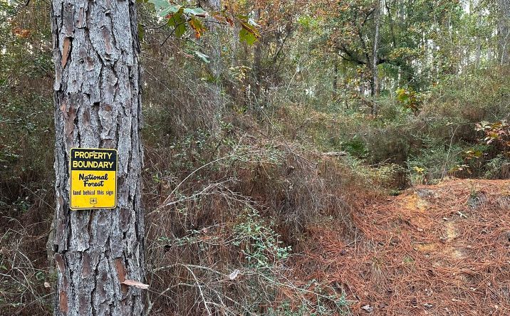 Pictures of Land property located at 00 Hwy 26, Wiggins, MS 39577 for sales - image #1