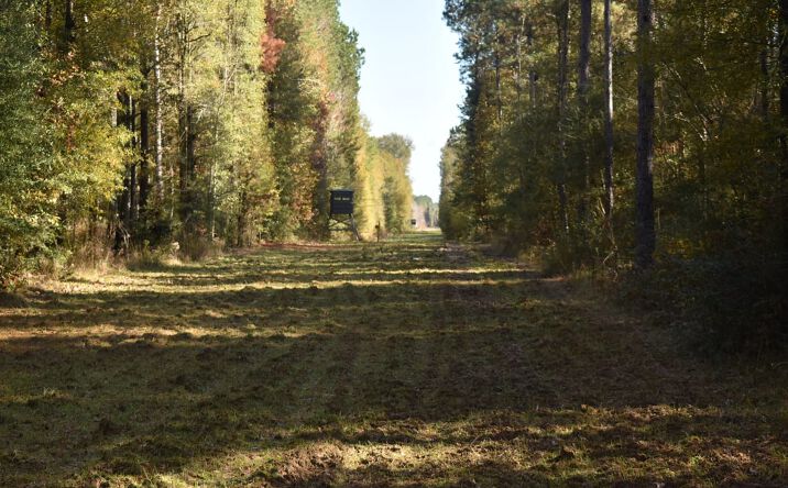 Pictures of Land property located at 40459 Greenwell Springs Rd, Clinton, LA 70722 for sales - image #1