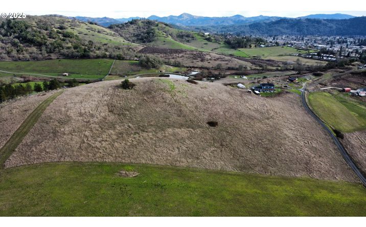 Pictures of Land property located at 0 WIL WAY, Winston, OR 97496 for sales - image #1