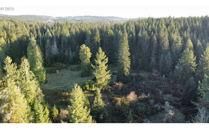 Pictures of Land property located at Hard Cash Ln, Camas Valley, OR 97416 for sales - image #1