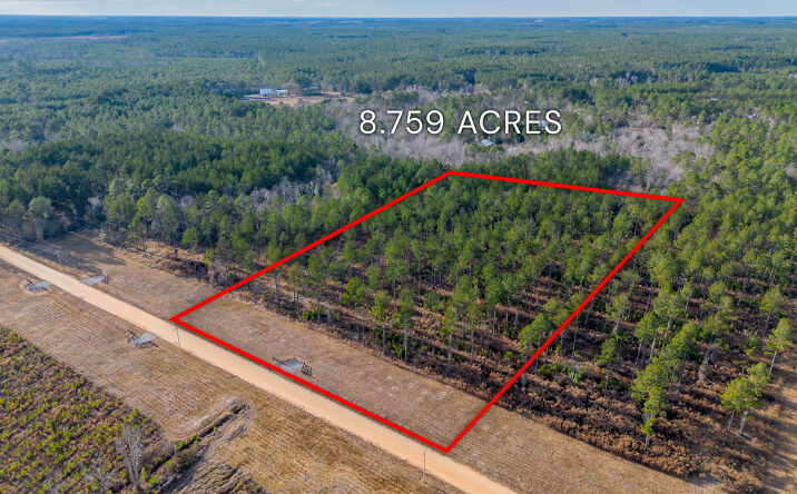 Pictures of Land property located at Arcola Rd, Brooklet, GA 30415 for sales - image #1
