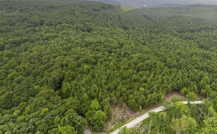 Pictures of Land property located at 0 Spokelay Road, Spencer, TN 38585 for sales - image #1
