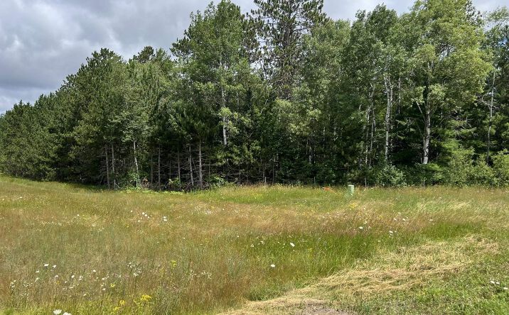 Pictures of Land property located at TBD US 141 Highway, Crystal Falls, MI 49920 for sales - image #1